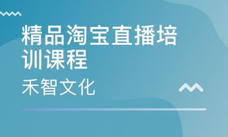 杭州禾智文化 課程特色、價格及網(wǎng)絡文化經(jīng)營解析